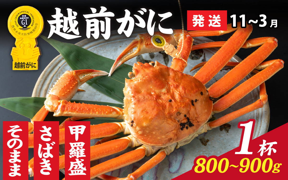 
            【先行予約】選べる！美味しさ直送【成前特選】 越前がに（800g～900g）×1杯【11月～3月発送】  [K-028048] / 福井県 福井 オス 雄 ズワイガニ ボイル 冷蔵 越前ガニ 越前がに 越前カニ ずわいがに ずわい蟹 かに カニ 蟹 指定 茹で 甲羅盛り 甲羅盛 すがた 姿 チルド 越前蟹 ずわい ズワイ 茹で蟹 茹で むき身
          
