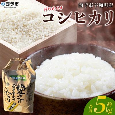 ふるさと納税 西予市 <令和7年産:西予市宇和町産特別栽培米コシヒカリ5kg>　コメ　ご飯　ごはん　特産品