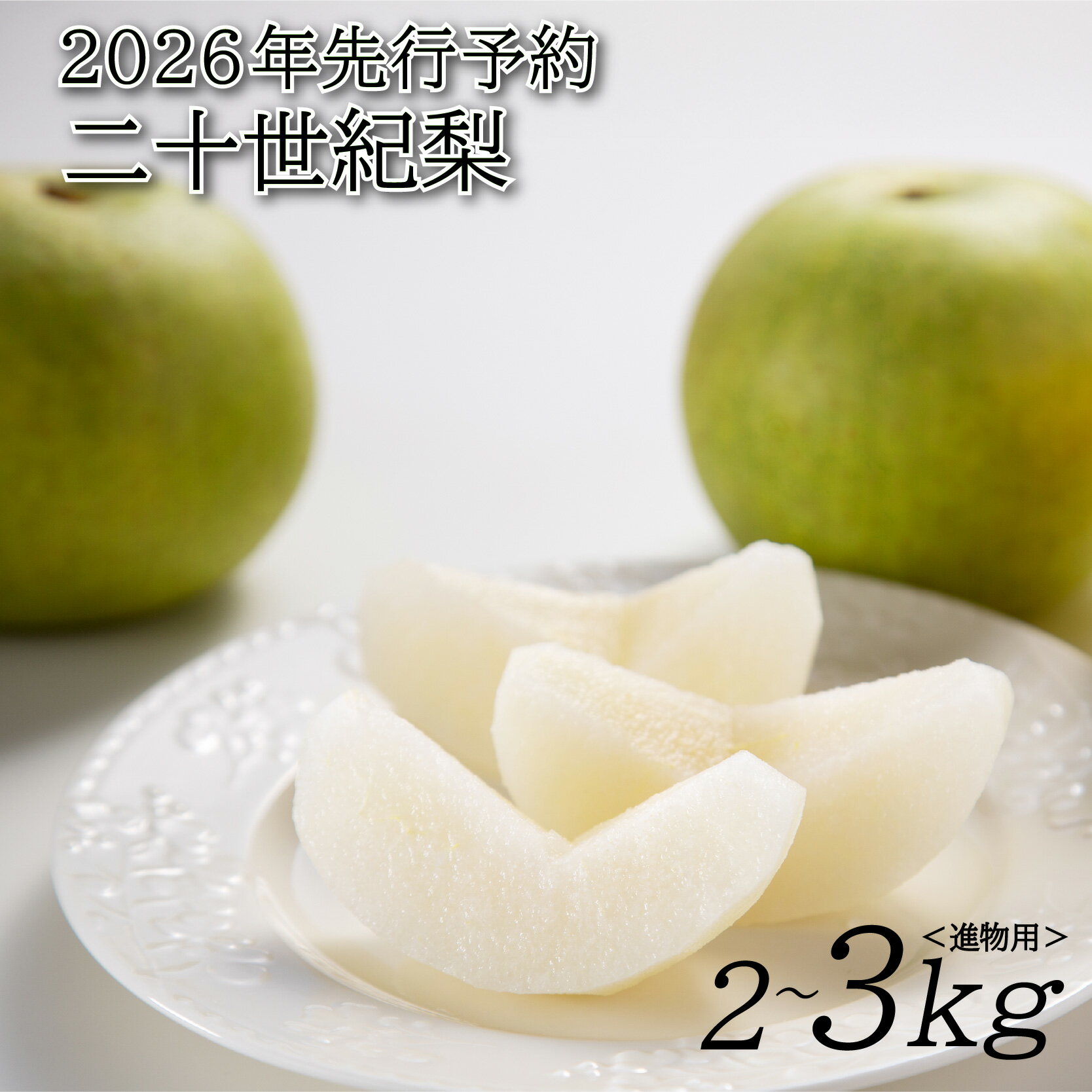 【ふるさと納税】【2026年 先行予約】二十世紀梨 2～3kg 進物用｜鳥取 山根農園 梨 2026年収穫後 9月頃～
