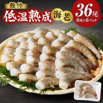 ふるさと納税 西尾市 殻付き低温熟成海老6尾×6P・K318