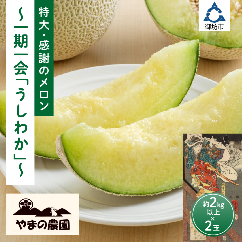 【0925-3】やまの農園　感謝のメロン～一期一会「うしわか」～（先行予約2025年7月中旬より順次発送予定）