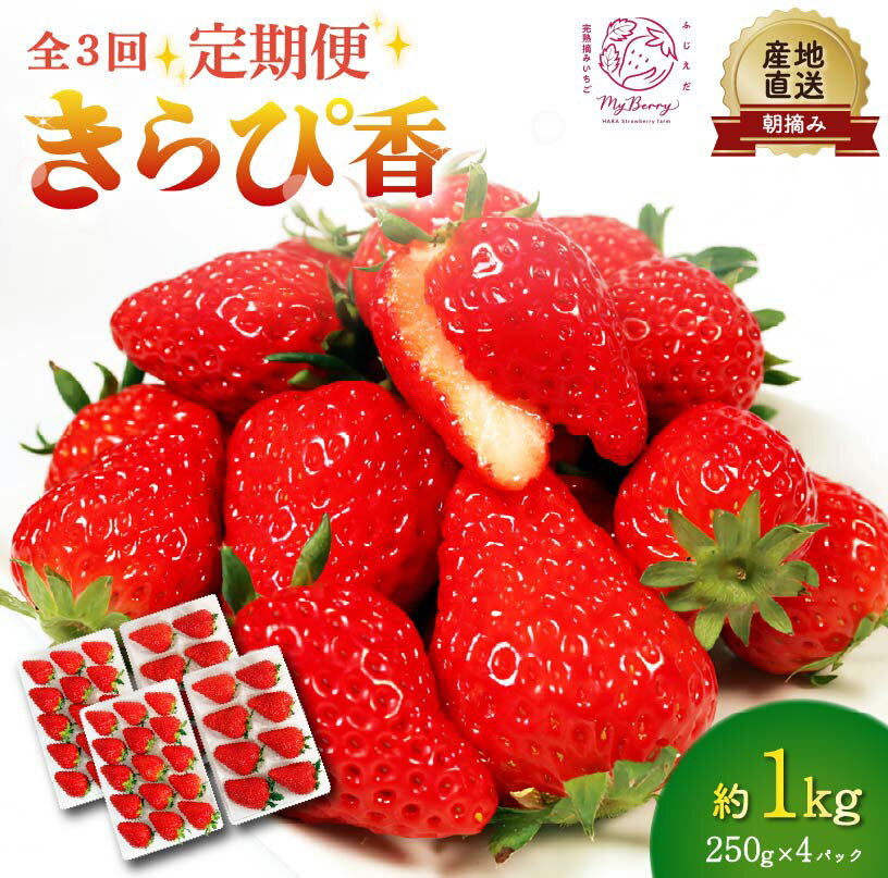 【ふるさと納税】 全3回定期便 いちご きらぴ香 約1kg 約250g×4パック 先行予約 2026年1月から発送予定 3ヶ月 朝どれ 完熟 苺 産地直送 フレッシュ イチゴ 贈答 フルーツ 果物 国産 ストロベリー 甘い 美味しい おすすめ 藤枝市 静岡県