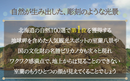 室蘭地球岬遊覧クルーズチケット 大人2名様 【 ふるさと納税 人気 おすすめ ランキング 北海道 室蘭 大人 2名 クルーズ チケット 観光 地球岬 プライベート イベント 休日 北海道 室蘭市 送料