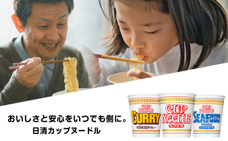 【定期便 12か月】日清 カップヌ－ドル シリーズ20個