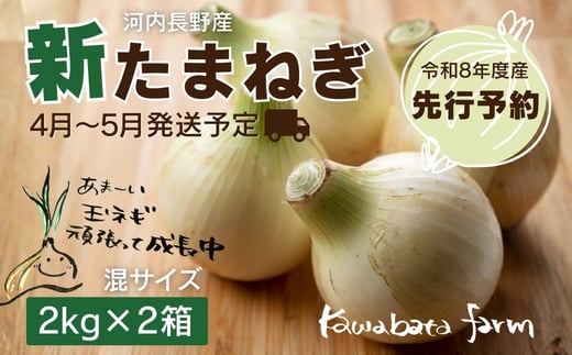 
                  【令和8年度産新玉ねぎ先行予約】新玉ねぎ 2kg×2箱  ※4月～5月発送予定 混サイズ 玉ねぎ 新玉ねぎ たまねぎ タマネギ 玉葱 カレー シチュー 肉じゃが スープ サラダ 人気 大阪 河内長野 kawabata farm 料理 送料無料 先行予約 国産 エコ農産物 甘い玉ねぎ 野菜 食育 安心 安全
                
