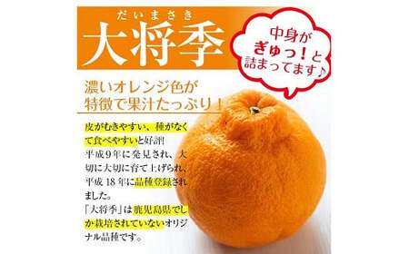 【先行予約・1月中旬頃から発送】JAさつま日置いちき串木野産無加温大将季 約5kg 不知火(デコポン)の枝変わり新品種!【A-2003H】