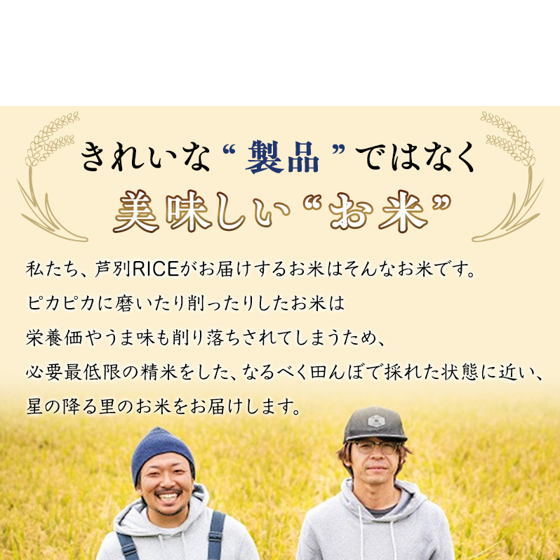 米 ななつぼし 計20kg (5kg×4袋) 令和7年産 白米 精米 農家直送 お米 こめ おこめ コメ 単一原料米 ブランド米 特A米 特A 北海道米 北海道産 米ななつぼし ご飯 ごはん 北海道 