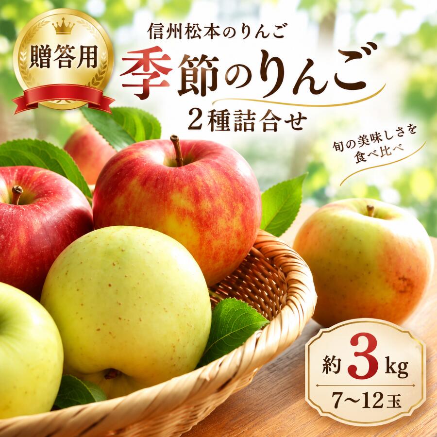 【ふるさと納税】【贈答用】 信州松本のりんご 「季節のりんご2種詰合せ」約3kg（7～12玉）｜ふるさと納税 信州産 長野県 松本市 詰め合わせ サンふじ 秋映 シナノスイート ぐんま名月 シナノゴールド りんご リンゴ 果物 フルーツ くだもの
