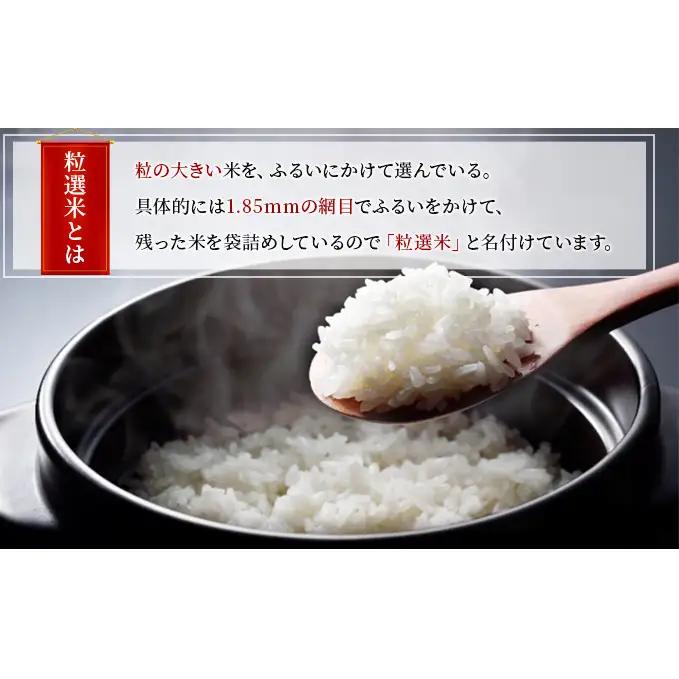 新潟産コシヒカリ精米5kg　真空パック（6か月定期配送） お米 