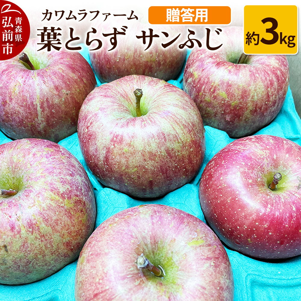 【ふるさと納税】りんご【先行受付】葉とらず サンふじ 約3kg カワムラファーム 贈答用