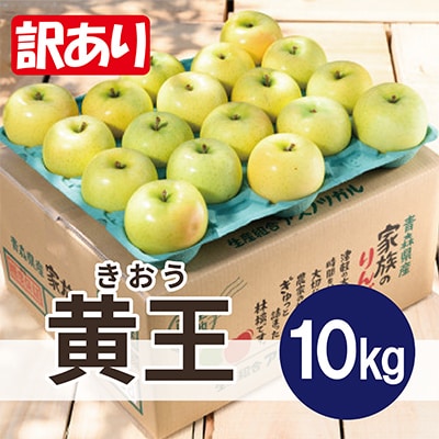 【26年8月下旬より順次発送】平均糖度12度以上! 黄王 約10kg 訳あり  クール便　青森りんご【配送不可地域：離島・沖縄県】