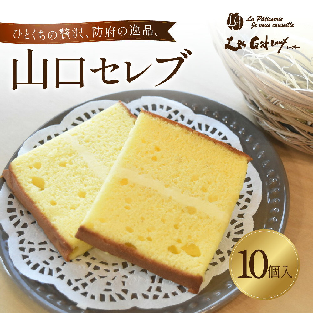 【ふるさと納税】山口セレブ(10個入) 有限会社レ・ガトー 山口県 防府市 A-C30 洋菓子 スイーツ 焼菓子 ケーキ ギフト プレゼント ティータイム 個包装 おやつ 高級