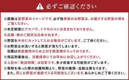 【有機JAS認定】【10ヶ月定期便】 季節の野菜詰め合わせ ～有機野菜セットA～