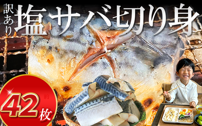 訳あり 塩サバ 切り身 約3kg(7切×6袋入り) 冷凍 鯖 塩 さば 魚 さかな 海鮮 海産物 おかず サバ 鯖ご飯 おすすめ 人気 さば サバ  鯖 魚 魚介 海鮮 惣菜 塩サバ 塩鯖 焼き鯖 サバ 焼きさば 焼さば 減塩  塩 鯖 さば サバ おすすめ 人気 ふるさと納税 鯖 サバ さば ふるさと納税さば 愛知県南知多町 南知多 株式会社 山太 さば 鯖 人気 おすすめ 愛知県 南知多町