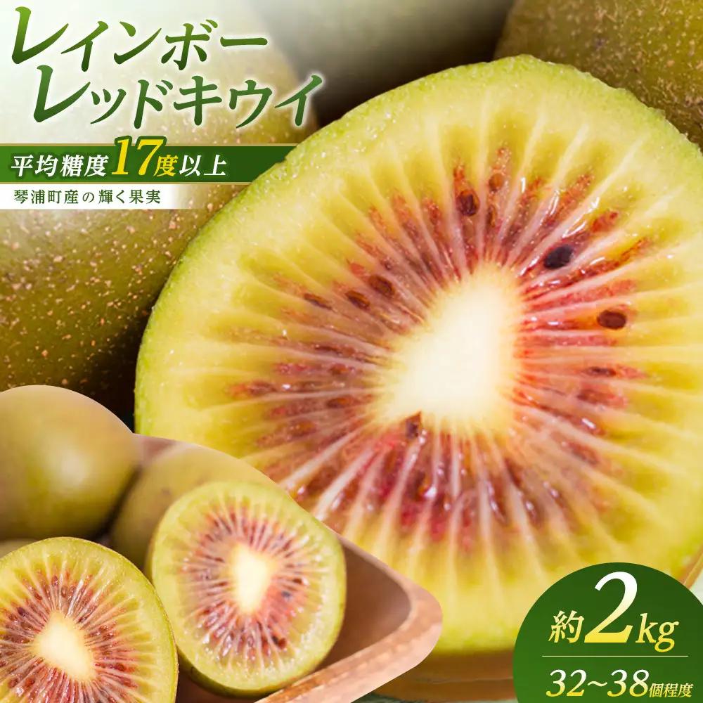 キウイフルーツ（レインボーレッド2kg）と追熟剤セット キウイ