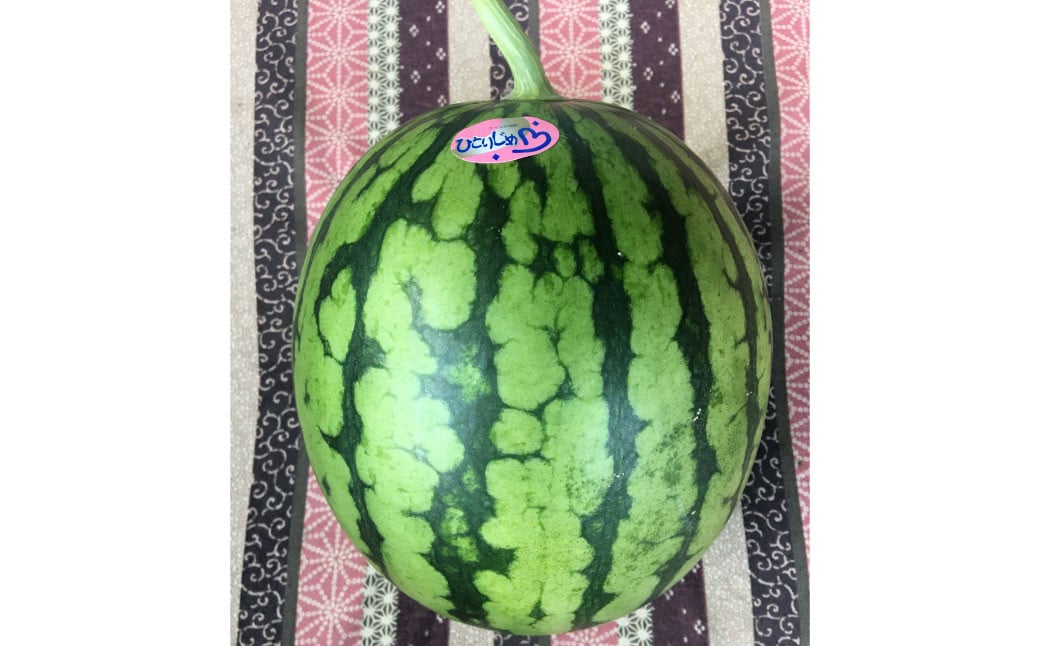 
            熊本特産！小玉スイカ 2玉入り すいか スイカ 西瓜 果物 フルーツ 【2025年6月発送予定】
          