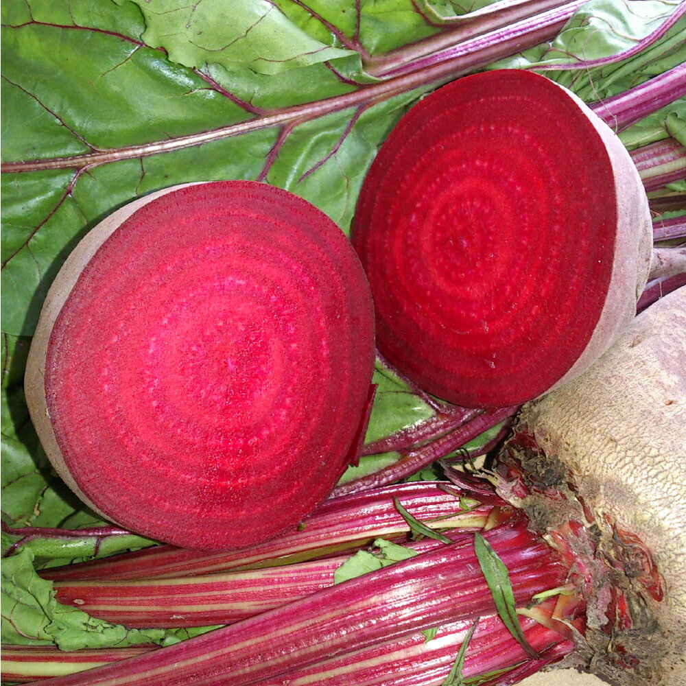 【ふるさと納税】 自社農園栽培 生ビーツ（1kg/2kg/5kg）生ビーツ ビーツ 野菜 やさい 健康 サラダ 酢の物 スムージー 美容 食物 料理 ＜選べる容量＞ 冷蔵 国産 九州 熊本県 あさぎり町 送料無料