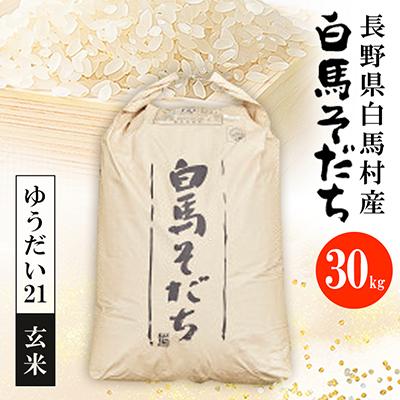 ふるさと納税 白馬村 【令和7年産】『白馬そだち』長野県白馬村産　お米　ゆうだい21　30kg(玄米)