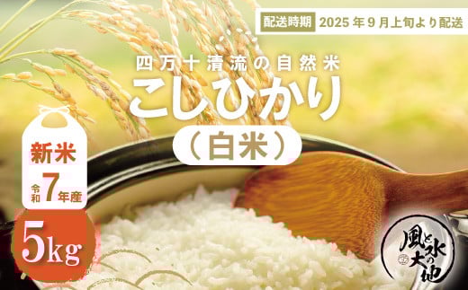 
            【令和7年産新米・早期受付】四万十清流の自然米　白米5kg( コシヒカリ) 国産 新米 予約 先行 こしひかり コシヒカリ 5kg 令和7年 2025年 自然米 精米 白米 米 おこめ こめ コメ ご飯 ごはん ふっくら もちもち 四国 高知 四万十 しまんと お取り寄せ 送料無料 おいしい ミネラル 酵母菌 米糠発酵肥料 【2025年9月より順次配送】25-849
          
