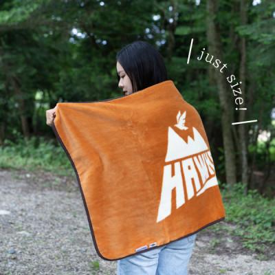 ふるさと納税 泉大津市 泉大津製　アウトドア防炎ブランケット(福岡ソフトバンクホークス) |  | 02