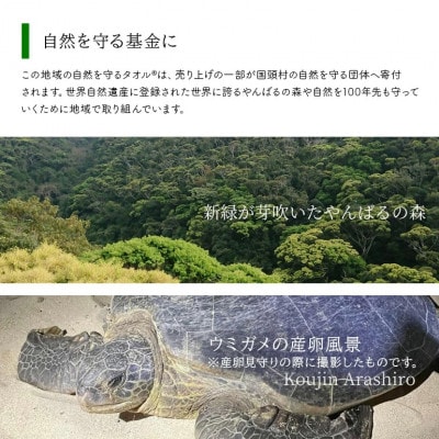世界自然遺産 記念BOX 地域の自然を守るタオル 2枚セット【1606940】