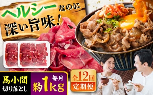 【全12回定期便】馬小間切り落とし 約1kg (約500g × 2パック) / 馬肉 馬 肉 ヘルシー ばにく 小分け こま切れ 切り落とし きりおとし 切り落とし 切落とし 熊本県 菊陽町【五右衛門フーズ】 [BHCY040]