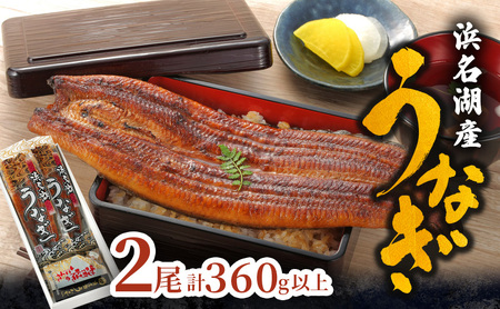 うなぎ 長蒲焼 真空パック 2尾 計360g以上 うなぎ