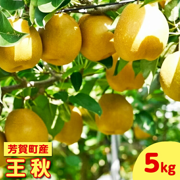 【ふるさと納税】【先行予約】栃木県芳賀町産「王秋」約5kg | 梨 なし 果物 フルーツ 秋の味覚 産地直送 送料無料 栃木県芳賀町 ※2025年10月下旬～11月中旬頃に順次発送予定 ※離島への配送不可