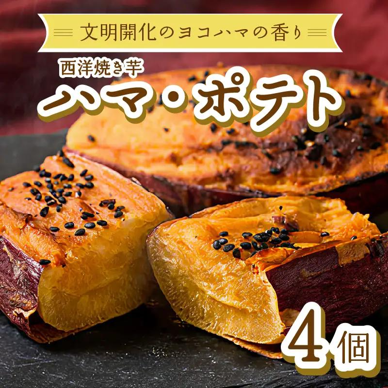 西洋焼き芋「ハマポテト」４個セット ALG0004