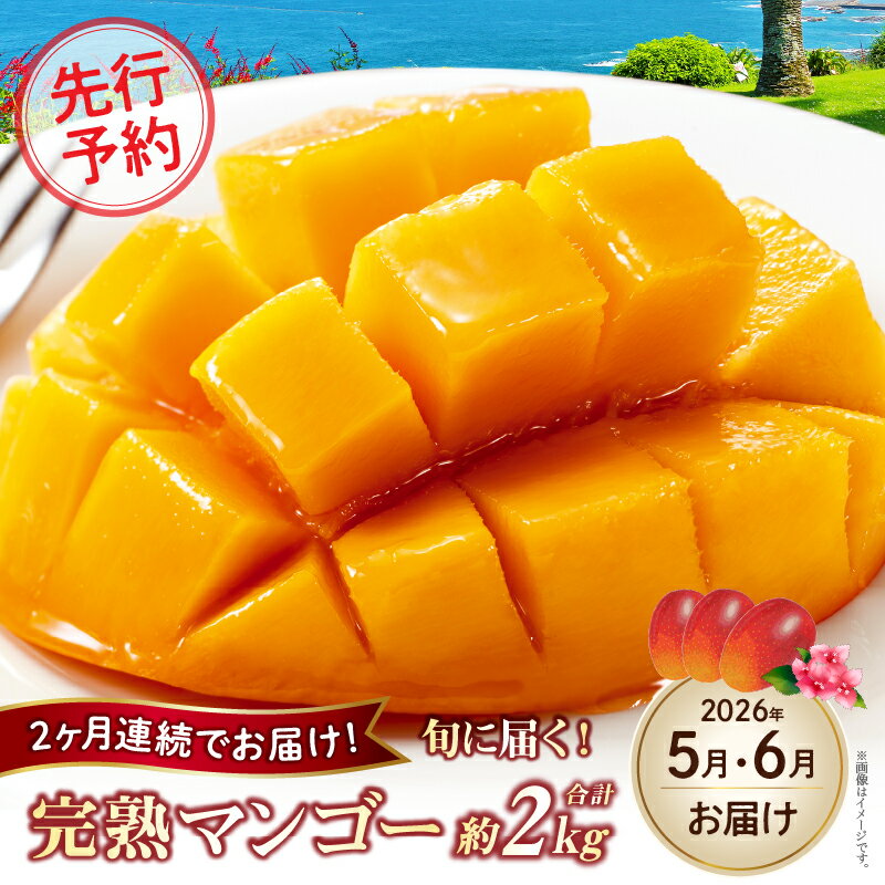 【ふるさと納税】【先行予約！マンゴー定期便・全2回】小林市産「完熟マンゴー」コース(5月,6月）定期便 フルーツ フルーツ定期便 2026 マンゴー 先行予約 宮崎 果物 人気