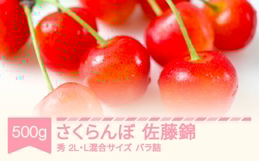 【先行予約】2025年産 さくらんぼ 佐藤錦 秀 2L・L混合サイズ バラ詰 500g 山形県産 フルーツ 果物 くだもの サクランボ sb-snbsx500