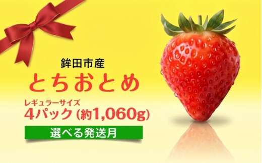 【1月発送】 いちご とちおとめ レギュラーサイズ 4パック 約 1,060g 苺 イチゴ トチオトメ フルーツ 果物 贈答用 甘い 産地直送 農家直送 茨城県 鉾田市 梅原農園