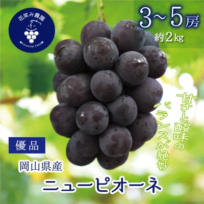 【2026年先行受付】岡山　花笑み農園の『ニューピオーネ』優品　約2kg(3～5房)P-2優【配送不可地域：離島】