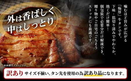 【訳あり】 極厚牛タンステーキ 1kg （500g×2パック）レモンペッパー×ムニエル ／ 牛タン 牛たん タン たん 牛肉 お肉 肉 ステーキ 極厚 訳アリ 理由あり わけあり 大阪府 阪南市 冷凍