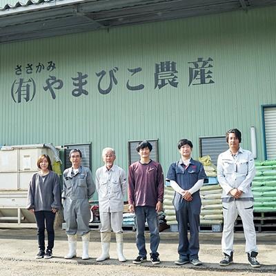 ふるさと納税 阿賀野市 【令和7年産先行受付】農家直送!玄米黒酢農法コシヒカリ「やまびこ米」2kg(白米) |  | 03
