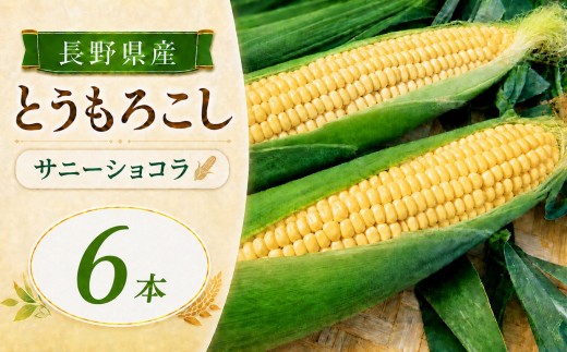 とうもろこし サニーショコラ 6本 | 農家直送 トウモロコシ 甘い 野菜 ジューシー みずみずしい 生食 茹で 焼き 栄養 おやつ 長野県 南信州 飯田市