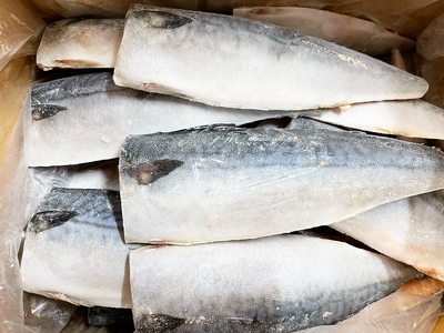 【ご家庭用】大容量！国産塩さばフィレ３．５ｋｇ