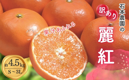 【先行予約】みかん 訳あり 石本農園の麗紅 4.5kg 【S-3L サイズおまかせ】【mis017A】