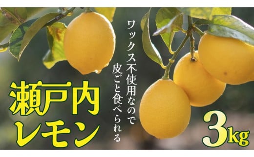 せとうちレモン 約3kg 1～2月発送 瀬戸内 国産 レモン 瀬戸内レモン 檸檬 柑橘 防腐剤 ワックス 不使用 皮まで丸ごと食べられる 広島県 大崎上島町 離島 産地直送 岩﨑農園