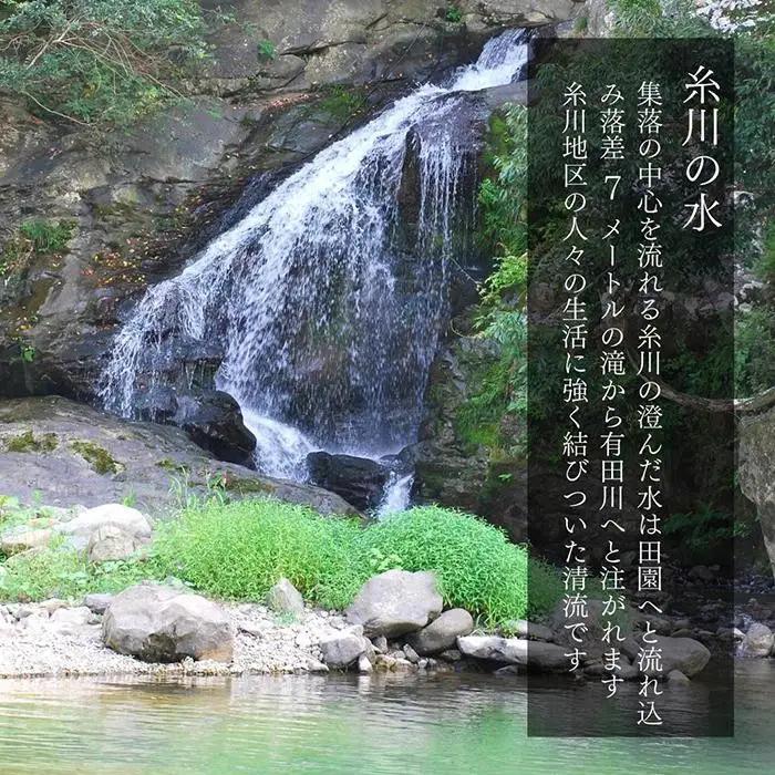 お米 10kg (5kg×2袋) 思いを繋ぐ糸川のお米 結意米 【ゆいまい】和歌山県産 【みかんの会】