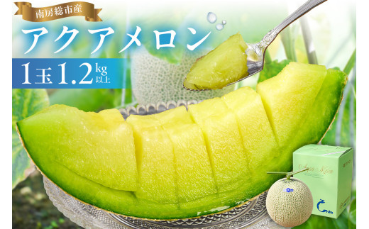 【TVで紹介！】【通常発送】南房総市産アクアメロン（マスクメロン）1個 mi0018-0001【メロン 青肉 ギフト 贈答 プレゼント フルーツ 果物】