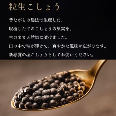
                  ＜世界初・元祖＞粒生こしょう 60g・100年はちみつ140g ギフトボックス2個入り(大)【1588864】
                