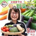 【ふるさと納税】【定期便9回】道の駅駅長チョイス！ 旬の野菜セット 5品目以上 / 季節 野菜 ボックス BOX セット セレクト 農家 おまかせ 多品目 旬 詰め合わせ 根菜 葉物