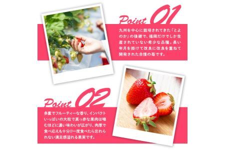 ＜先行予約受付中！2027年2月上旬～2027年3月末に順次発送＞あまおう苺・春(4P)いちご 苺 フルーツ 果物 くだもの 福岡限定  家庭用 冷蔵 ＜離島配送不可＞【ksg0045】【南国フルーツ