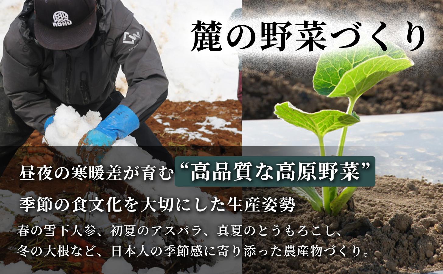雪下にんじんジュース 200ml（20本1箱） 果汁MIXタイプ 200ml（20本1箱） 5セット 新潟県 津南町 にんじん