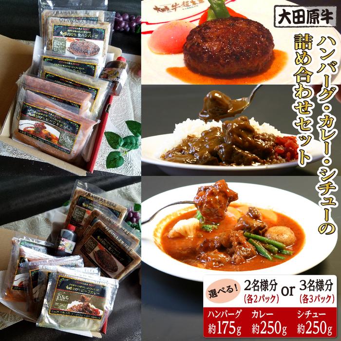 【ふるさと納税】【選択可能】【2～3名様分】大田原牛 ハンバーグ・カレー・シチューの詰め合わせセット | ブランド牛 和牛 牛肉 高級 ハンバーグ カレーライス ビーフシチュー