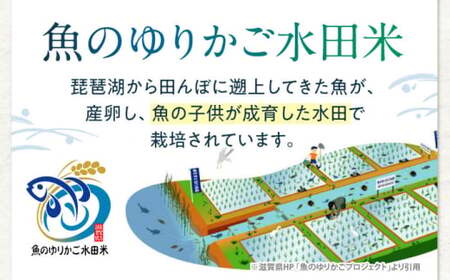 近江米コシヒカリ　魚のゆりかご水田米　5kg 滋賀県長浜市/阿辻農園[AQAW003]
