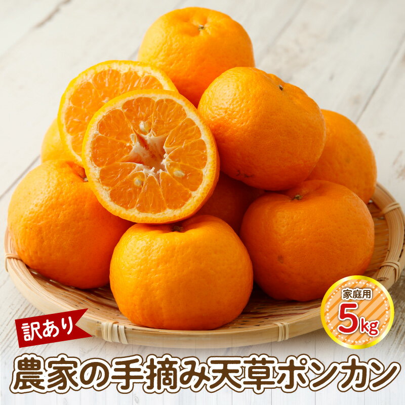 【ふるさと納税】【訳あり】農家の手摘み　天草ポンカン　家庭用　5kg