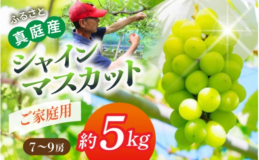 〈ご家庭用〉降水量の少ない岡山の自然がはぐくむシャインマスカット「晴天ぶどう」 約5kg （7～9房）｜ シャインマスカット 果物 フルーツ マスカット ますかっと くだもの 先行予約 ブドウ 葡萄 ぶどう 真庭市　シャインマスカット しゃいんますかっと shinemuscat ブドウ 葡萄 果物 くだもの フルーツ 新着 人気 岡山県産シャインマスカット マスカット 【beac003-01】