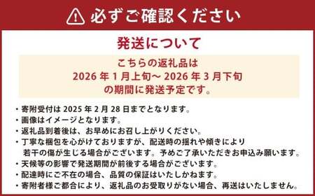 吉次いちご 約700g (24~33粒) 【2026年1月上旬発送開始】 いちご イチゴ ストロベリー 苺 果物 くだもの 果実 フルーツ 旬 冷蔵 九州 熊本県